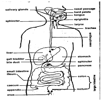 Image From EcoleBooks.com
