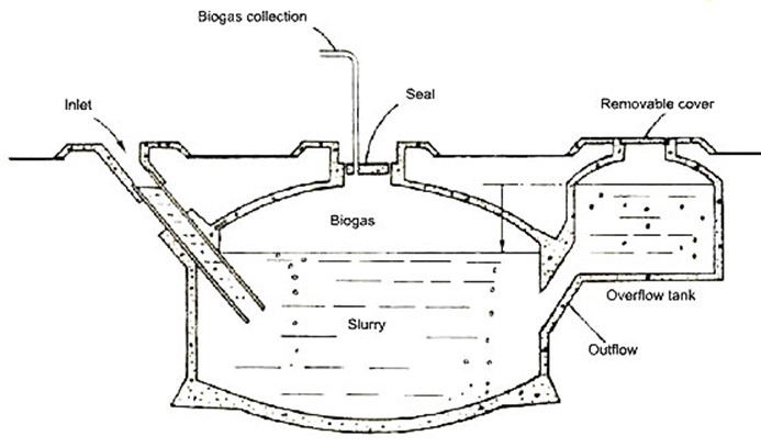Image From EcoleBooks.com