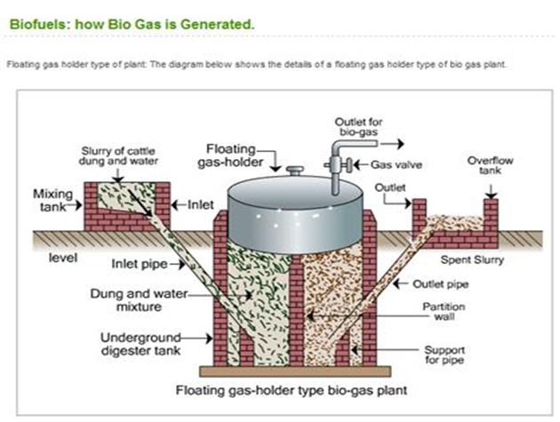 Image From EcoleBooks.com