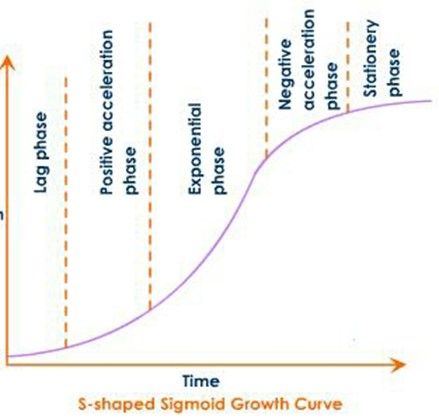 Image From EcoleBooks.com