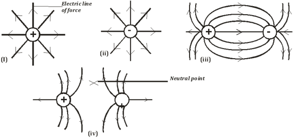 Image From EcoleBooks.com