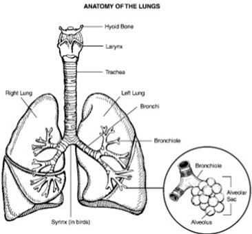 Image From EcoleBooks.com
