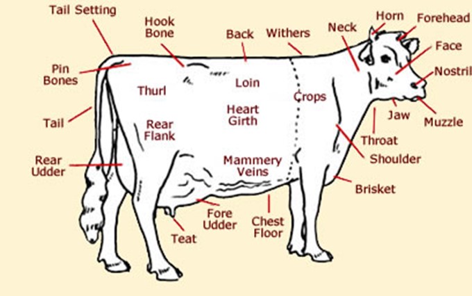 Image From EcoleBooks.com
