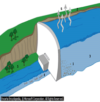 Image From EcoleBooks.com