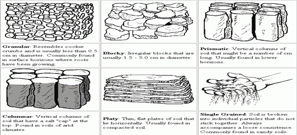 Image From EcoleBooks.com