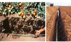 Image From EcoleBooks.com