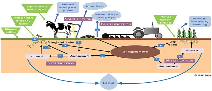 Image From EcoleBooks.com