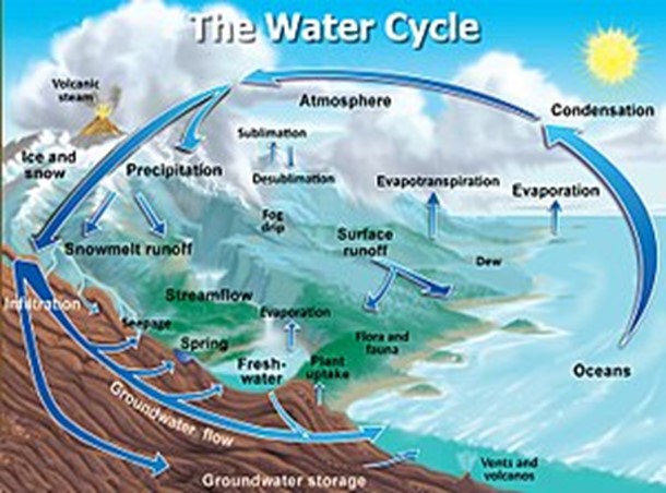 Image From EcoleBooks.com