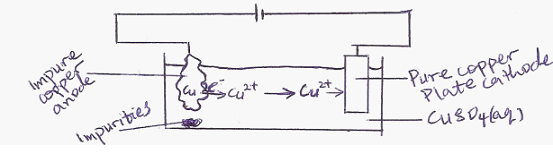 Image From EcoleBooks.com
