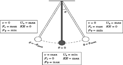 Image From EcoleBooks.com