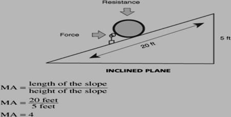 Image From EcoleBooks.com