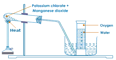 Image From EcoleBooks.com