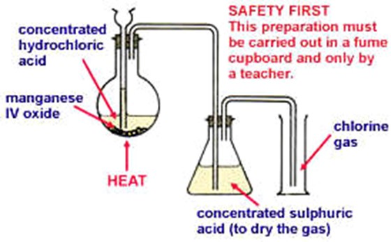 Image From EcoleBooks.com