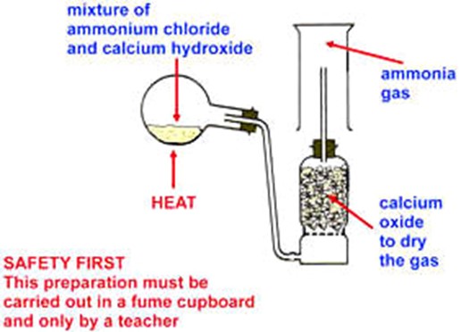 Image From EcoleBooks.com