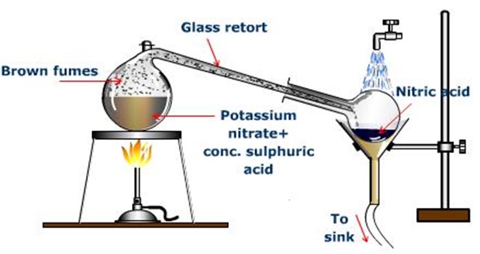 Image From EcoleBooks.com