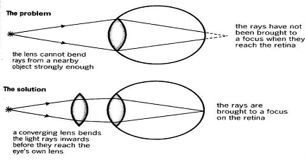 Image From EcoleBooks.com