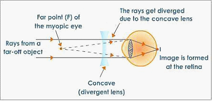 Image From EcoleBooks.com