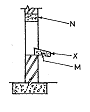 Image From EcoleBooks.com