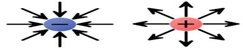 Image From EcoleBooks.com