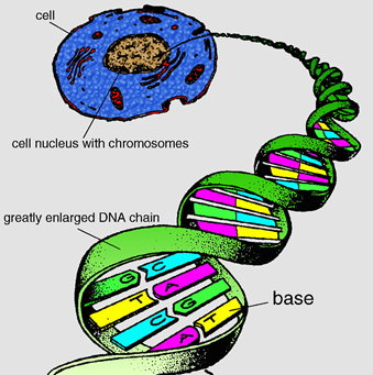 Image From EcoleBooks.com