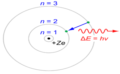 Image From EcoleBooks.com