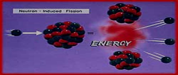 Image From EcoleBooks.com