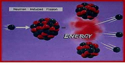 Image From EcoleBooks.com