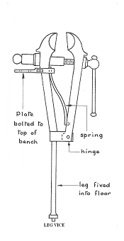 Image From EcoleBooks.com