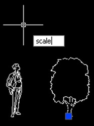 Image From EcoleBooks.com