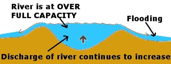 Image From EcoleBooks.com