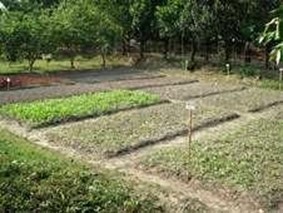 Image From EcoleBooks.com