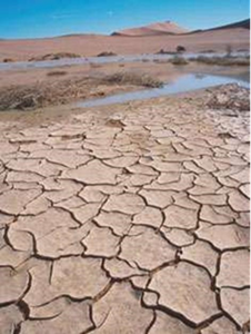Image From EcoleBooks.com