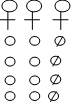 Image From EcoleBooks.com