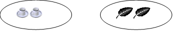 Image From EcoleBooks.com