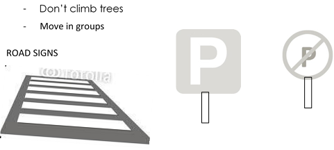 Image From EcoleBooks.com