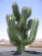 Image From EcoleBooks.com