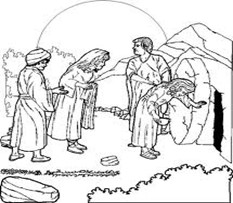 Image From EcoleBooks.com