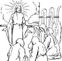 Image From EcoleBooks.com