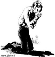 Image From EcoleBooks.com