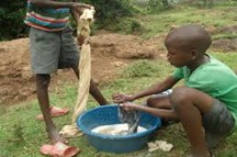 Image From EcoleBooks.com