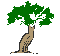 Image From EcoleBooks.com
