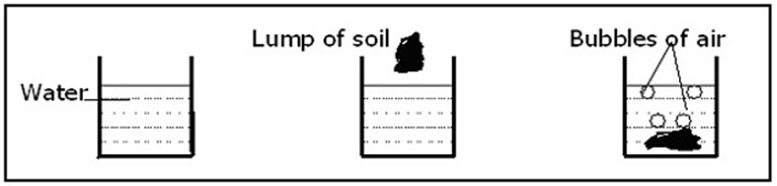 Image From EcoleBooks.com