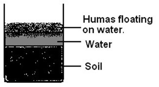 Image From EcoleBooks.com