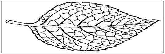 Image From EcoleBooks.com
