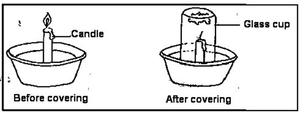 Image From EcoleBooks.com