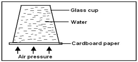 Image From EcoleBooks.com