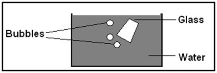 Image From EcoleBooks.com