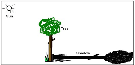 Image From EcoleBooks.com
