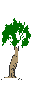 Image From EcoleBooks.com