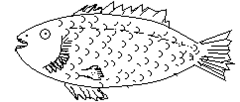 Image From EcoleBooks.com